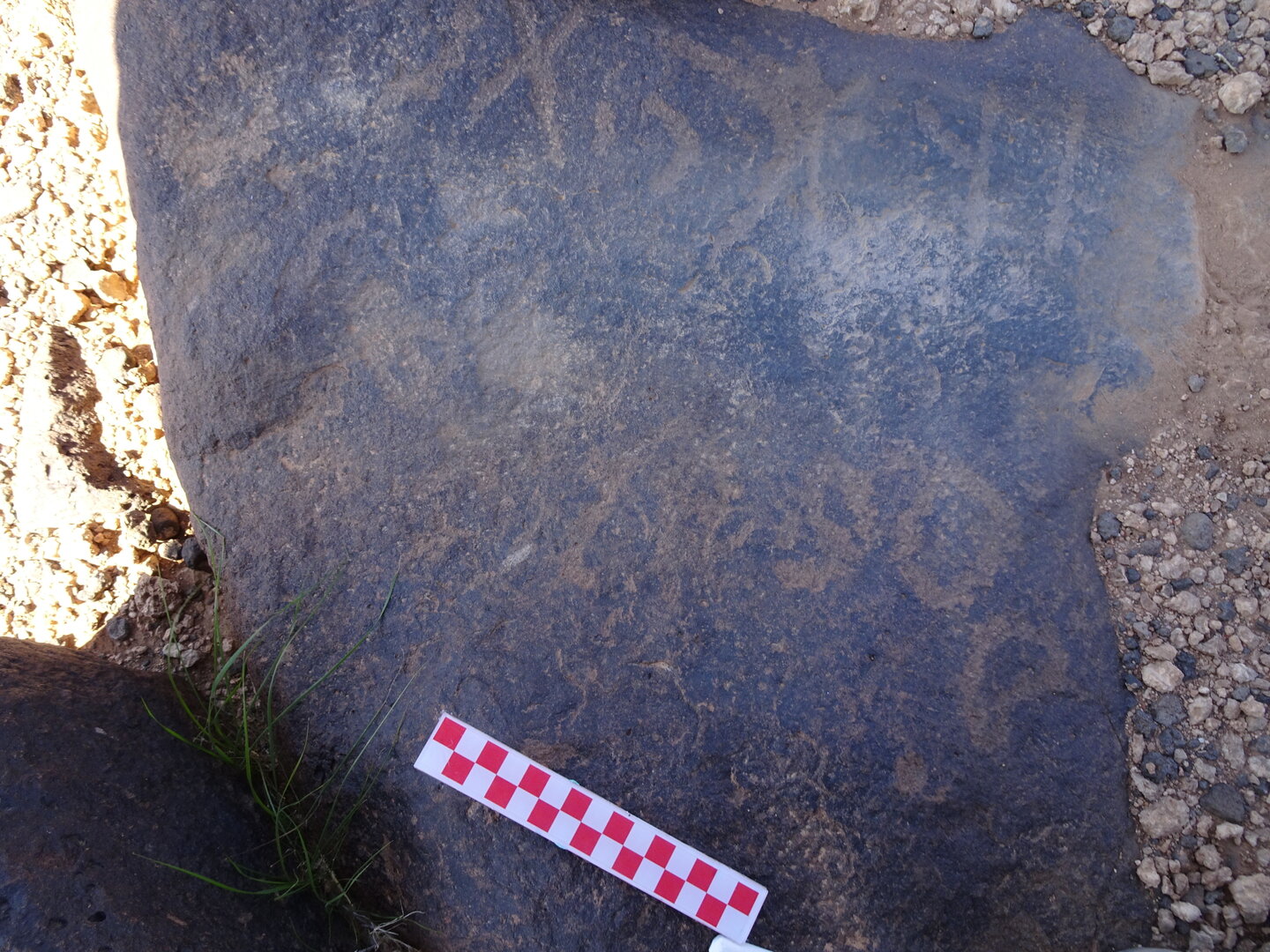 Image of siglum BES20 878