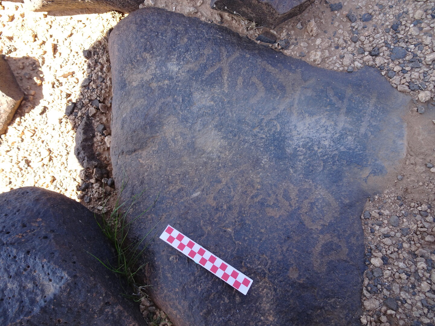 Image of siglum BES20 878