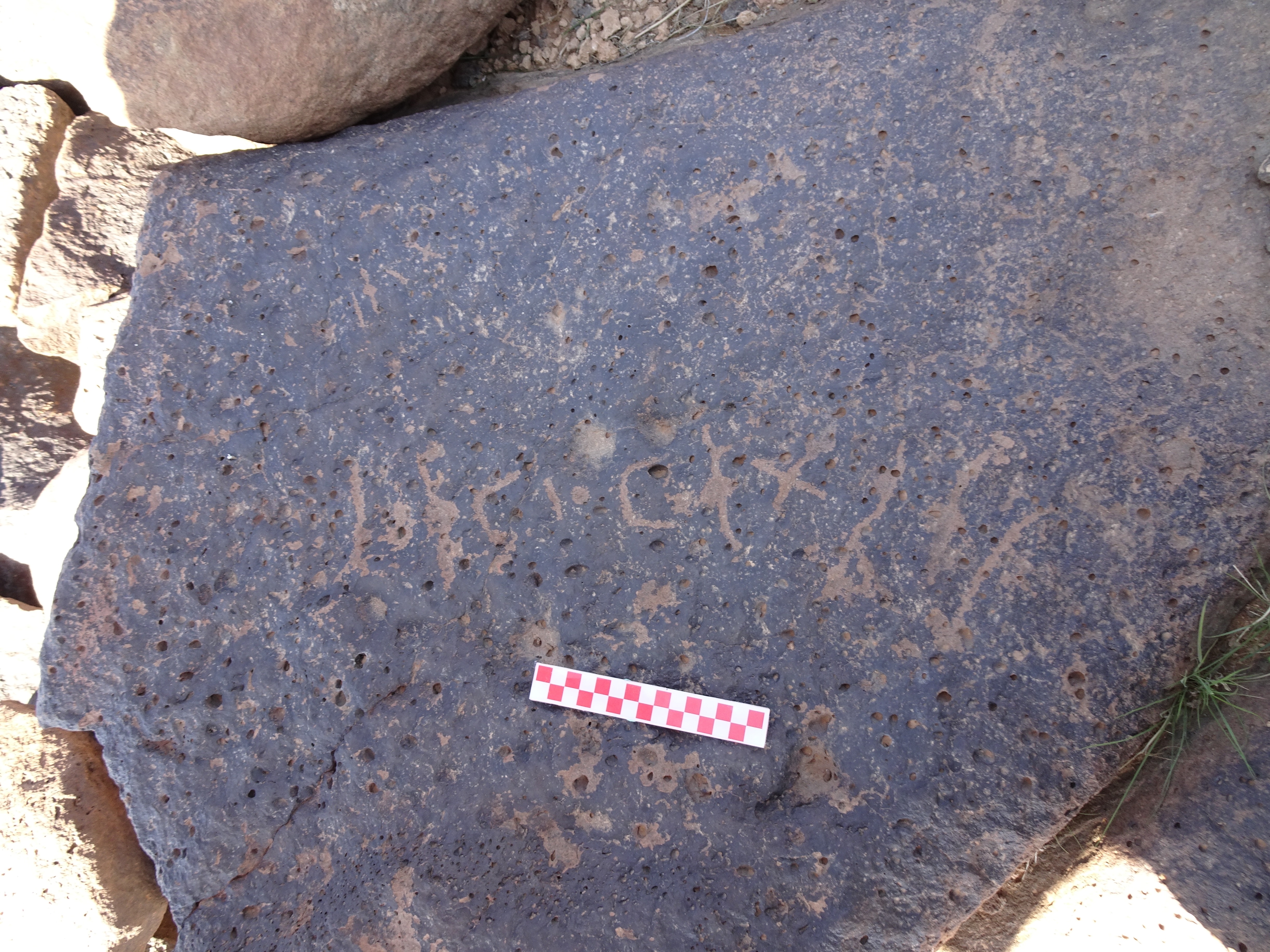 Image of siglum BES20 879