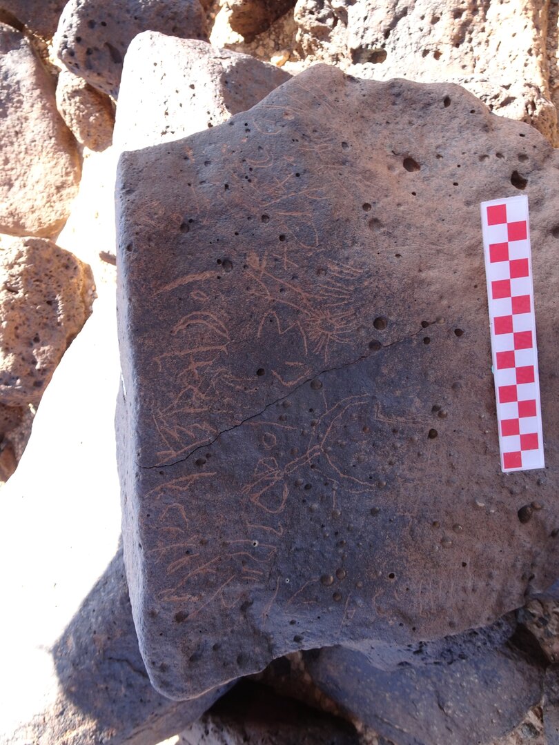 Image of siglum BES20 884