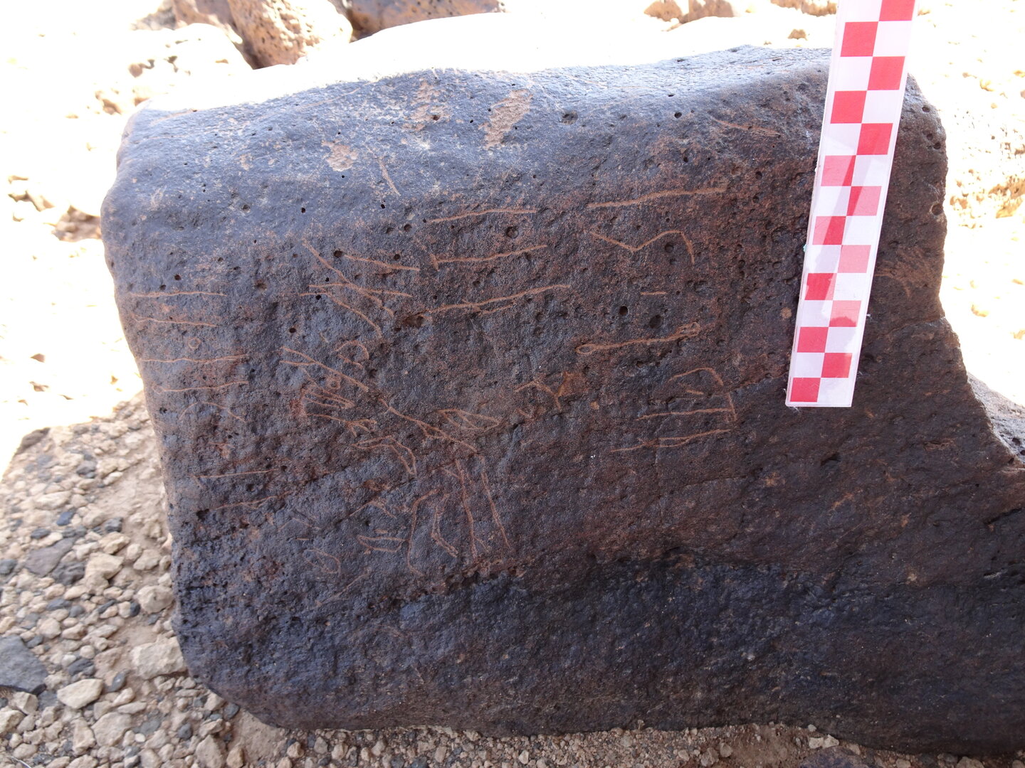 Image of siglum BES20 889