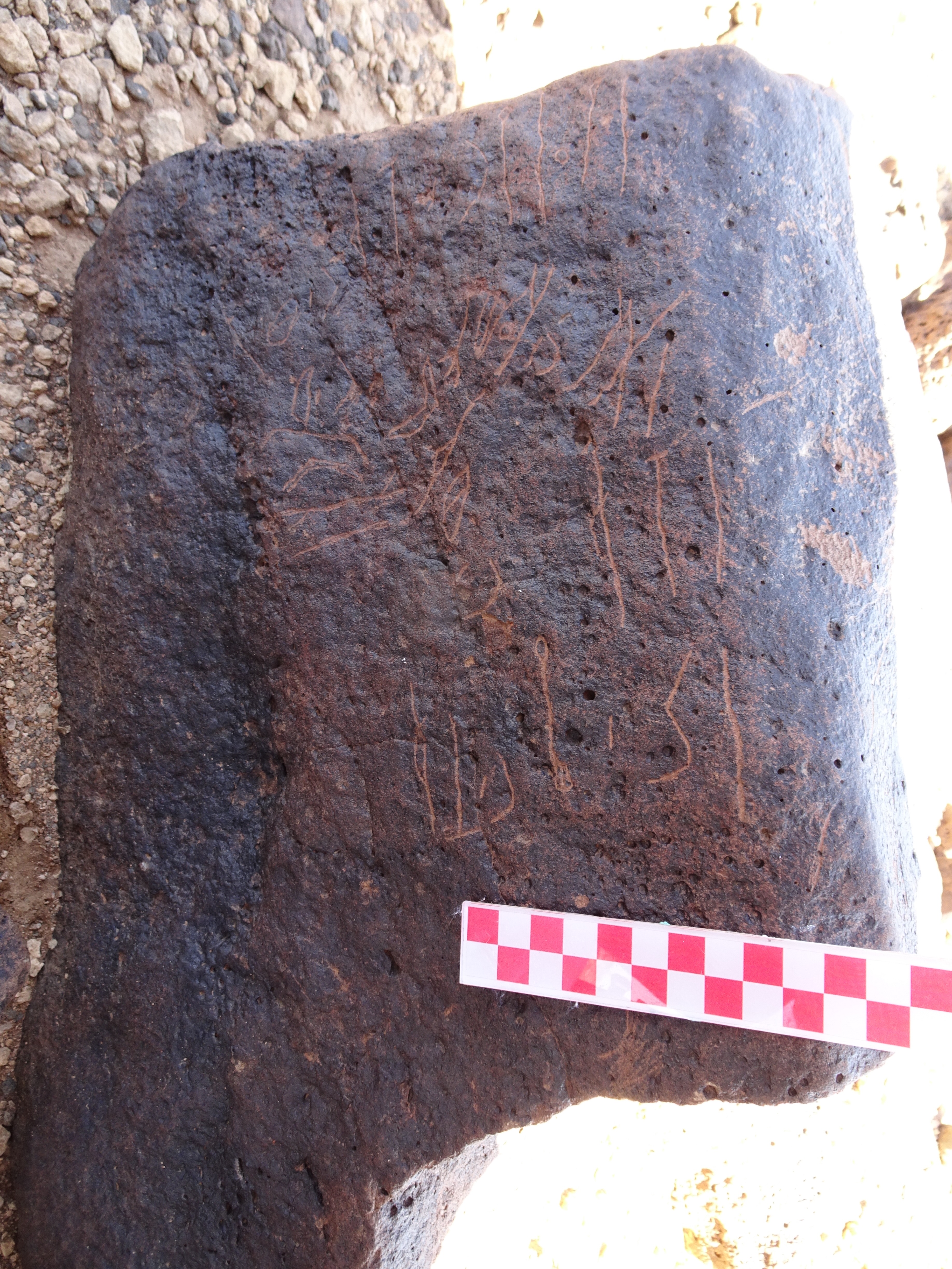 Image of siglum BES20 890