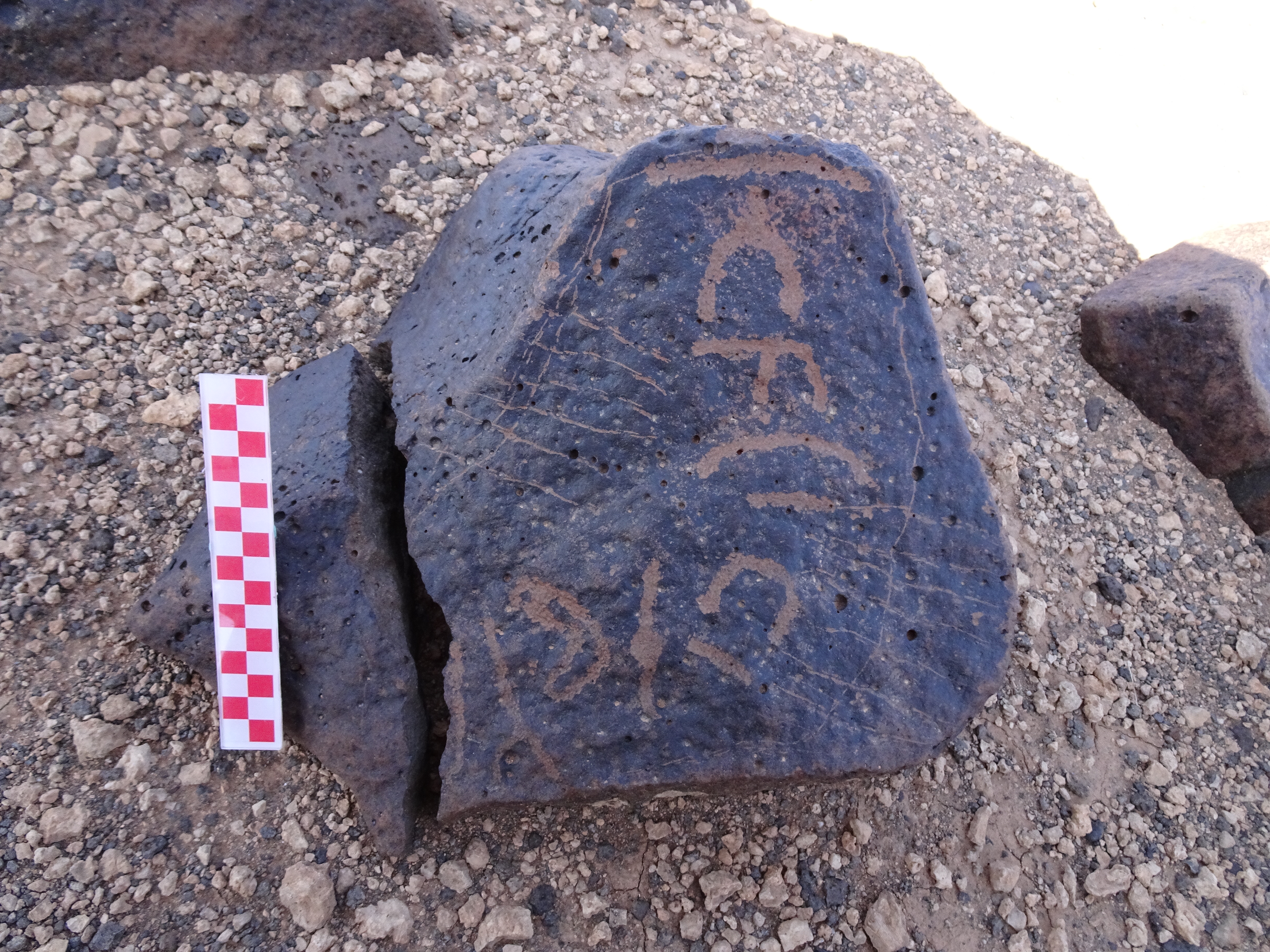 Image of siglum BES20 904