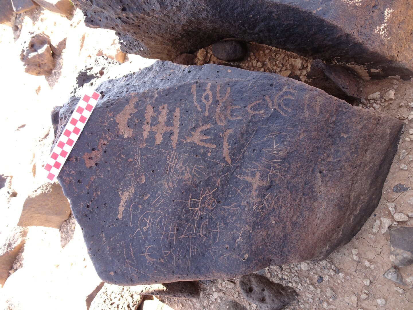 Image of siglum BES20 919