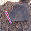 Image of siglum BES20 942