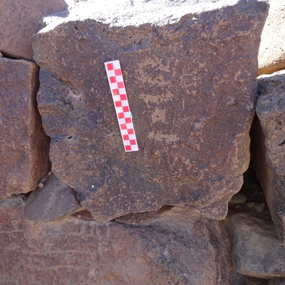 Image of siglum BES20 947