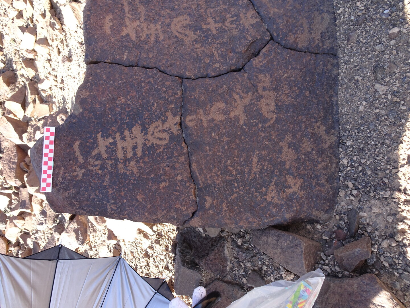 Image of siglum BES20 949