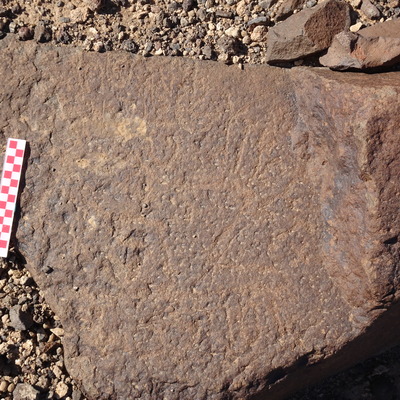 Image of siglum BES20 952