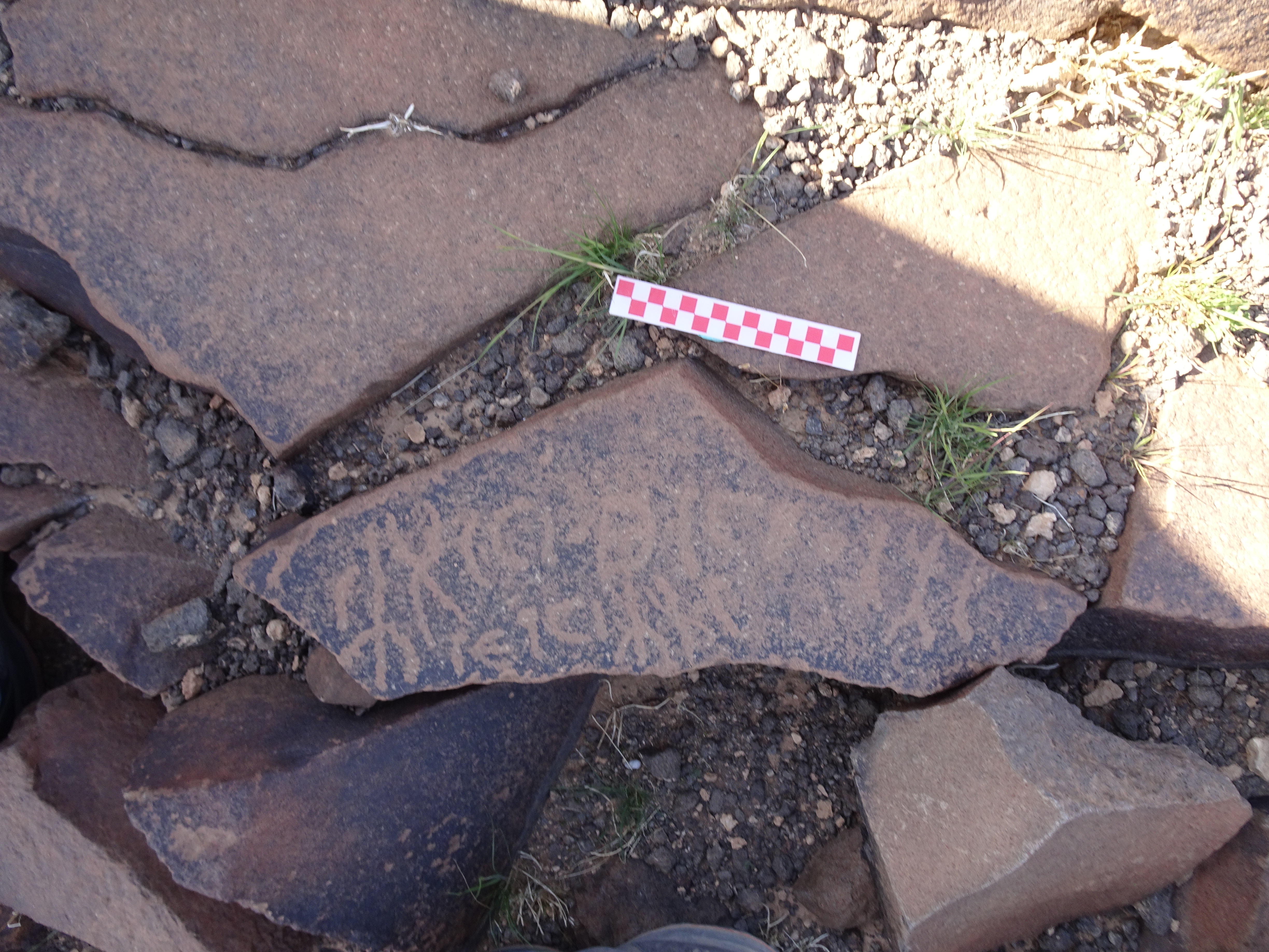 Image of siglum BES20 955