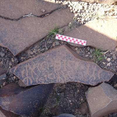Image of siglum BES20 955