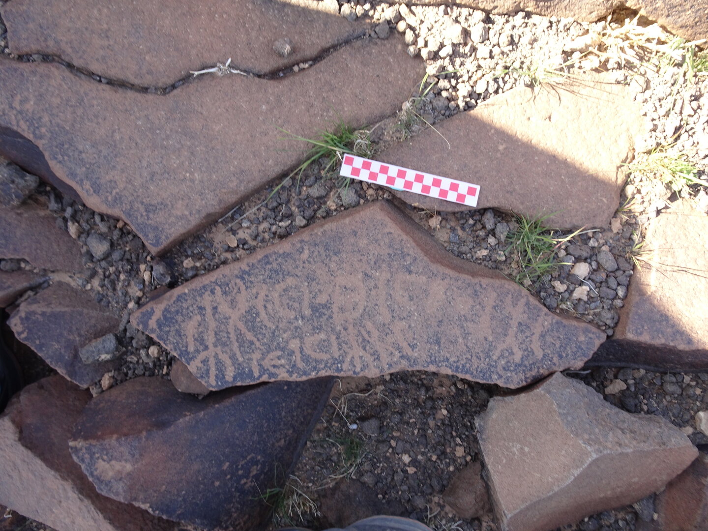 Image of siglum BES20 955