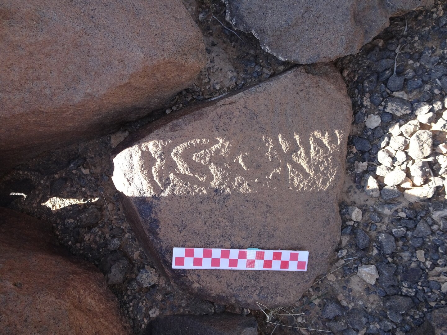 Image of siglum BES20 956