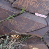Image of siglum BES20 959