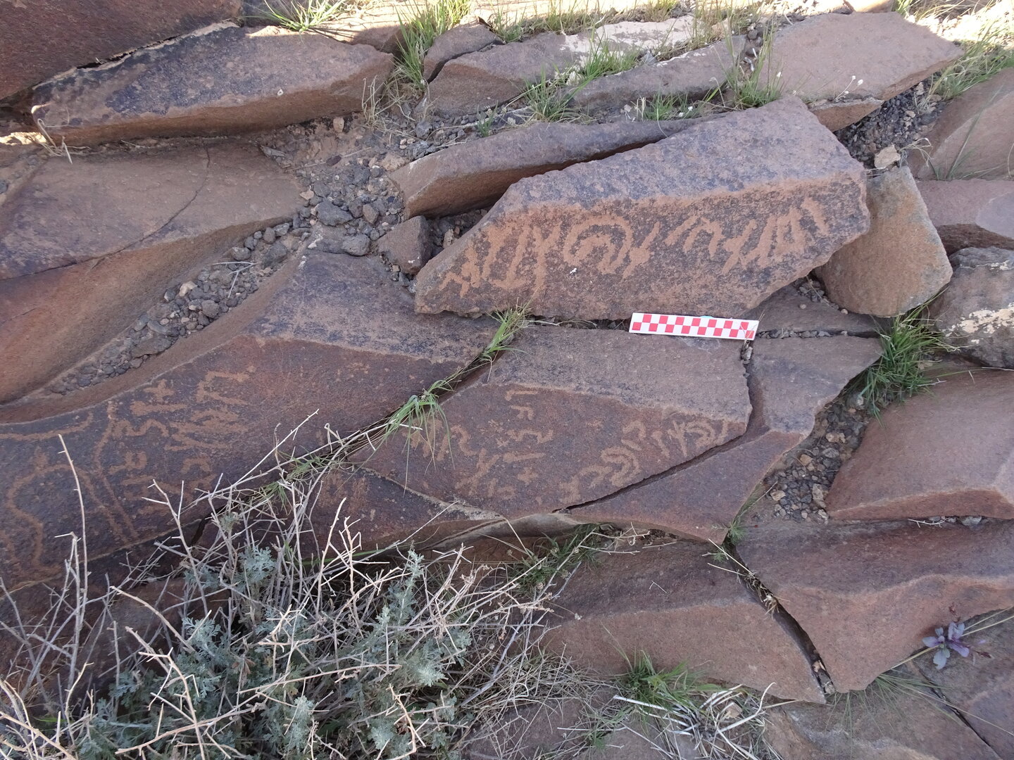 Image of siglum BES20 961