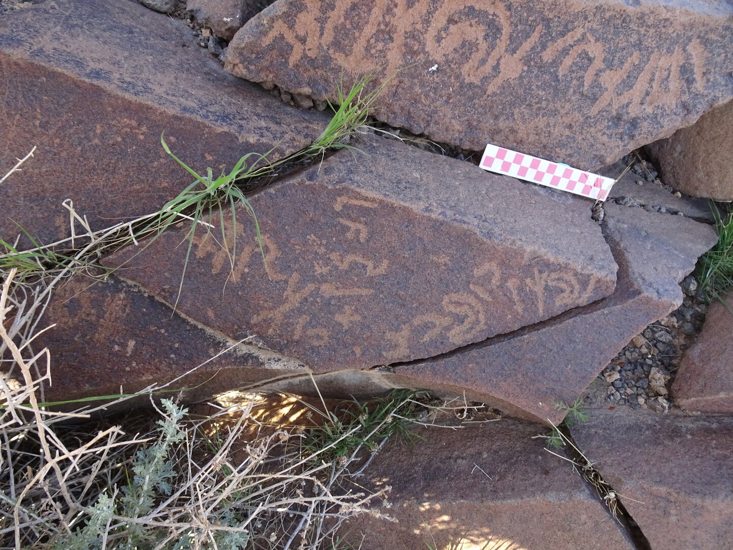 Image of siglum BES20 961