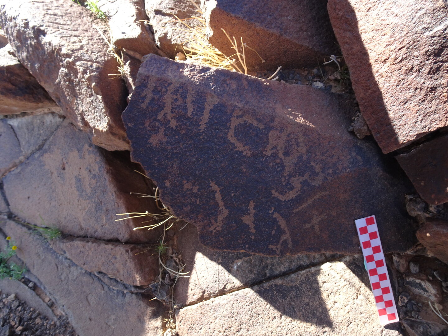 Image of siglum BES20 966