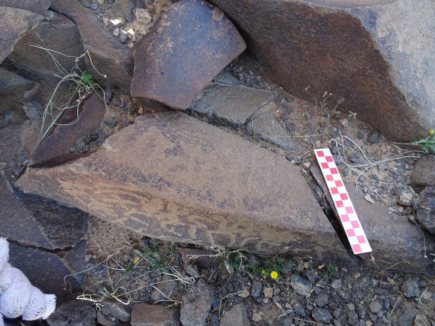 Image of siglum BES20 969