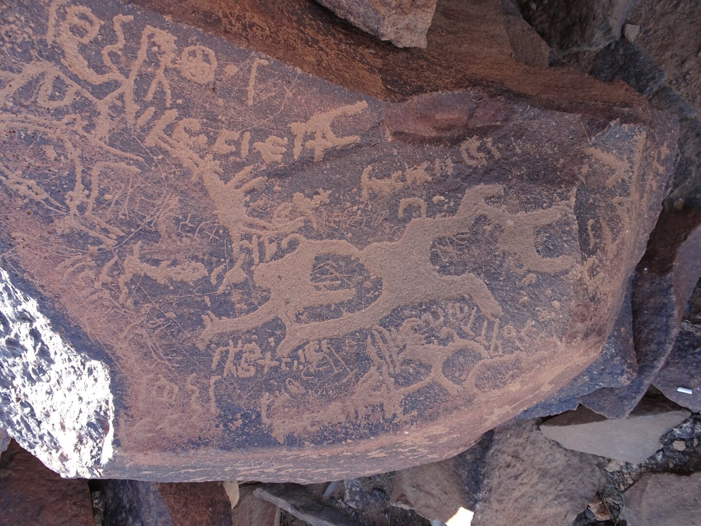 Image of siglum BES20 977