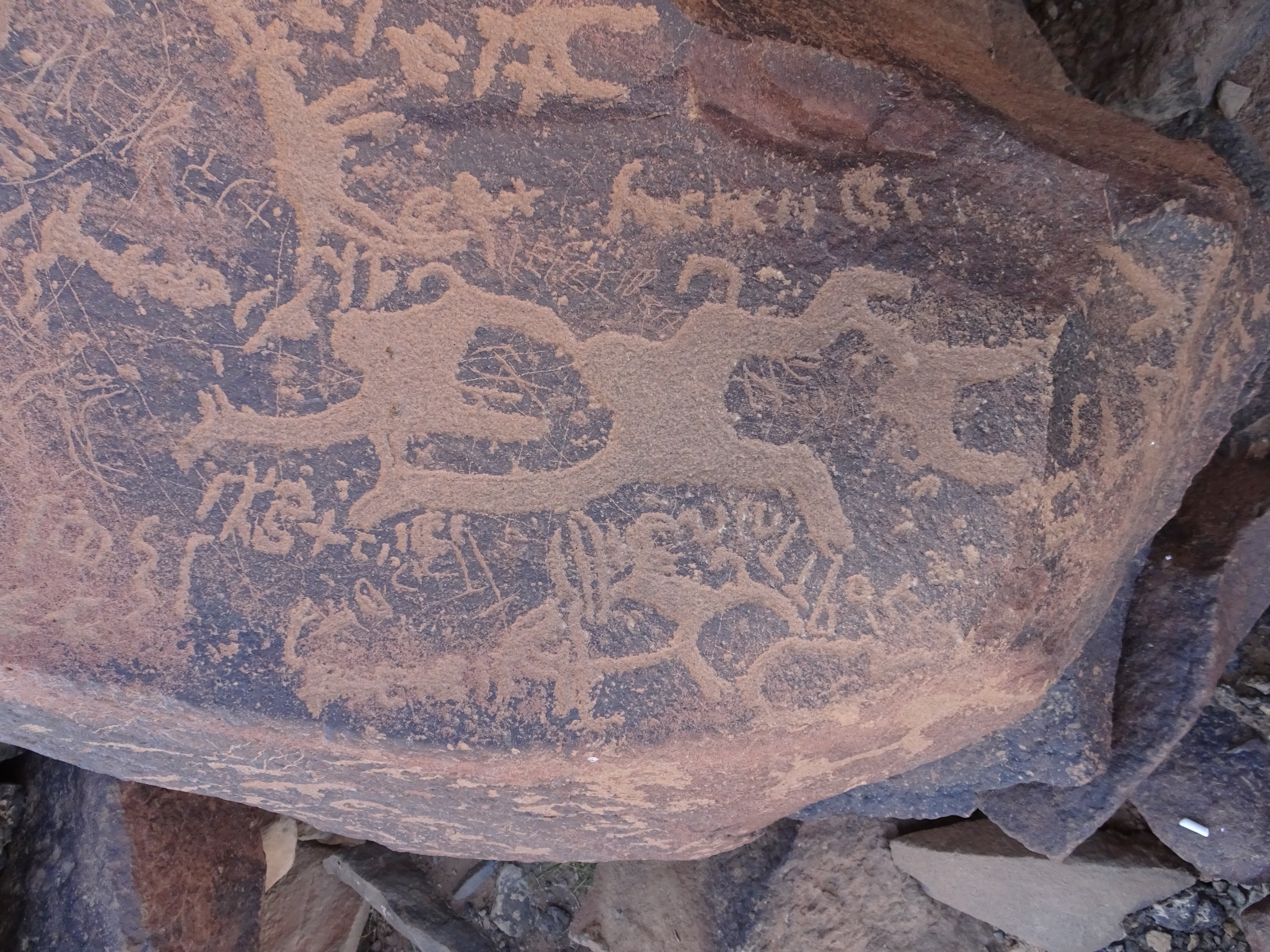 Image of siglum BES20 981