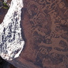 Image of siglum BES20 981