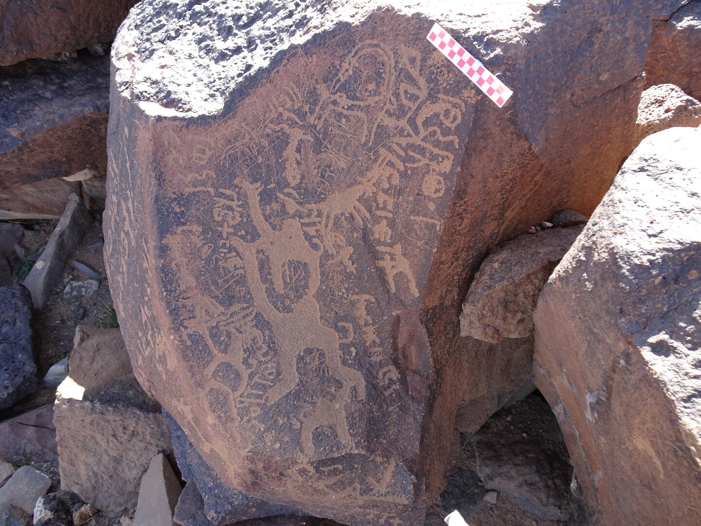 Image of siglum BES20 982