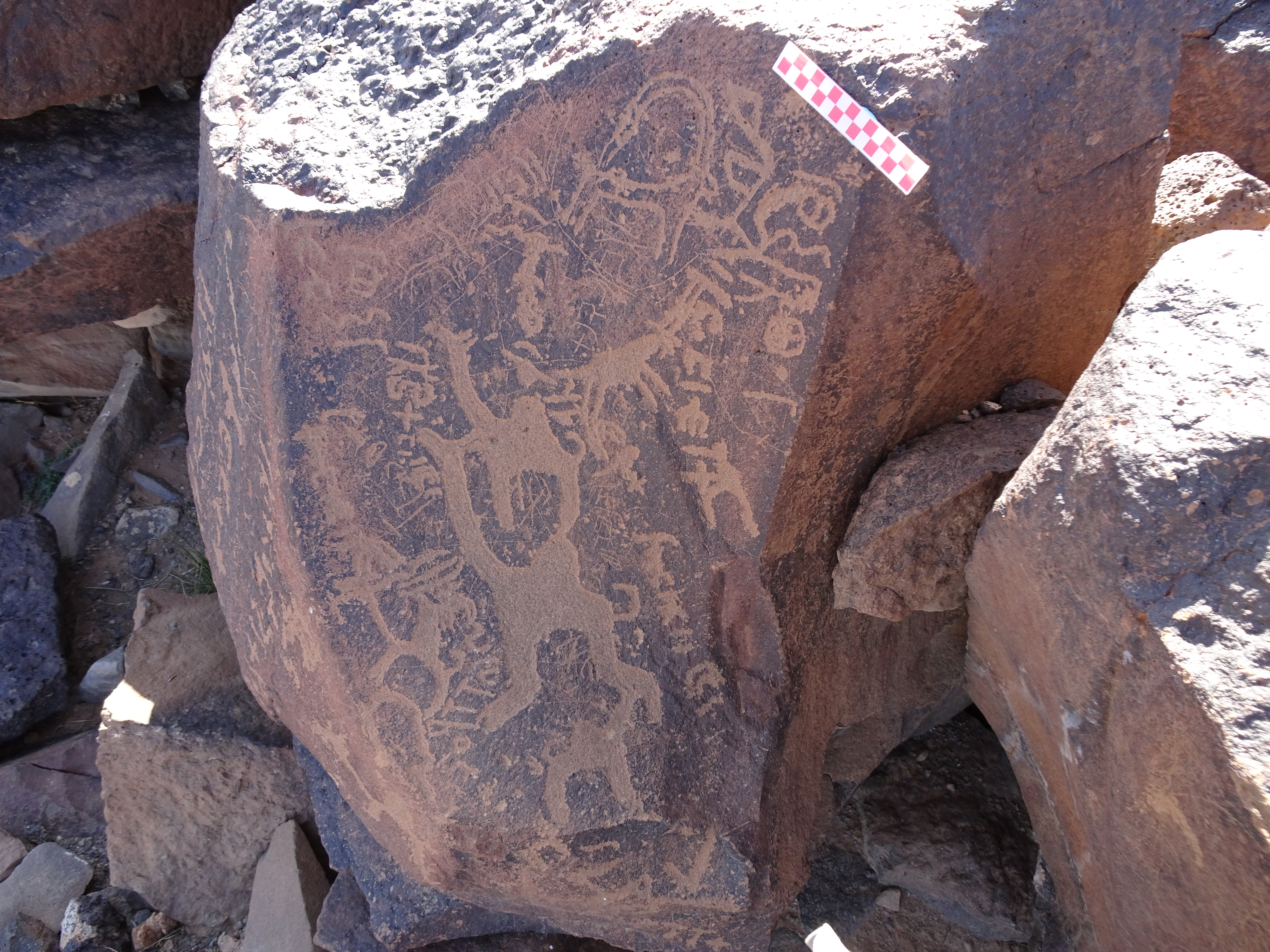 Image of siglum BES20 983