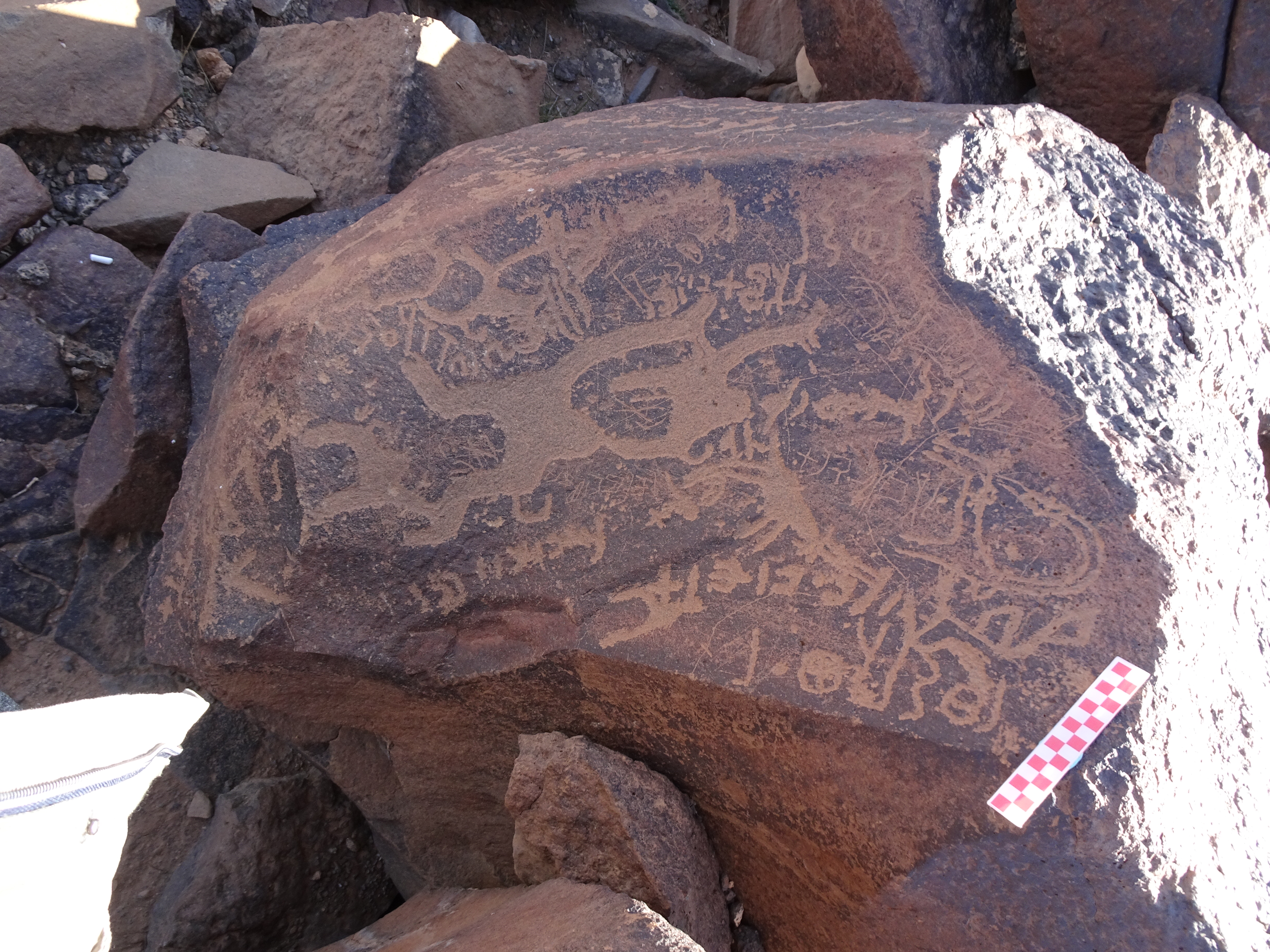 Image of siglum BES20 983