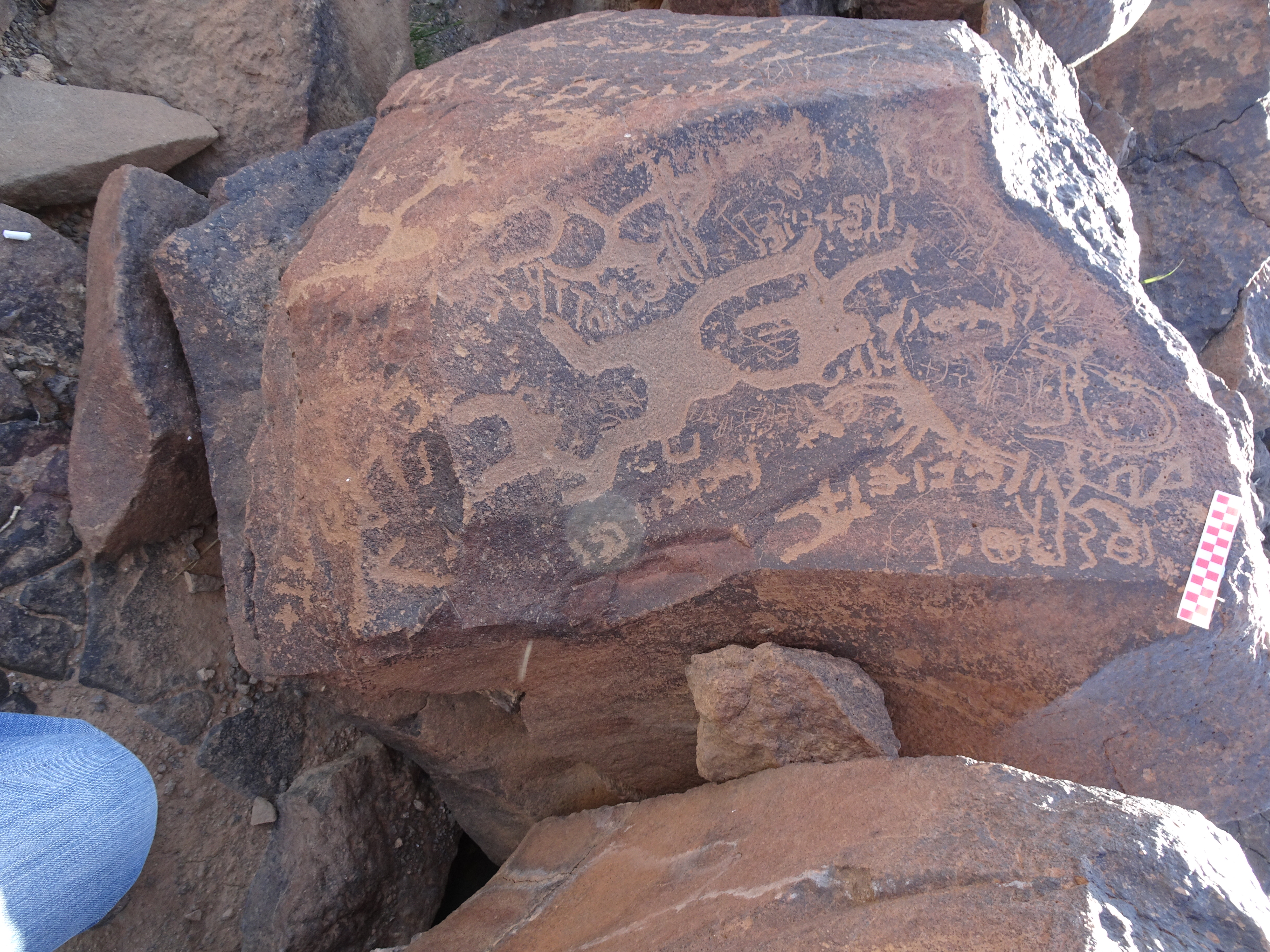 Image of siglum BES20 983