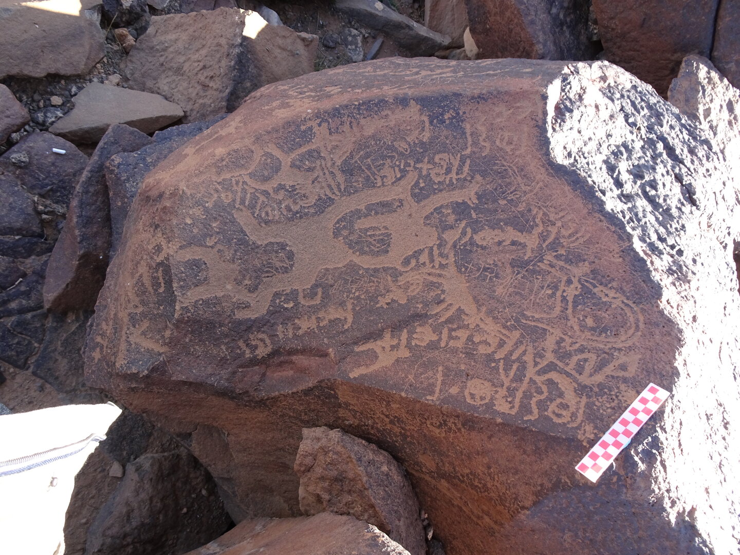 Image of siglum BES20 983