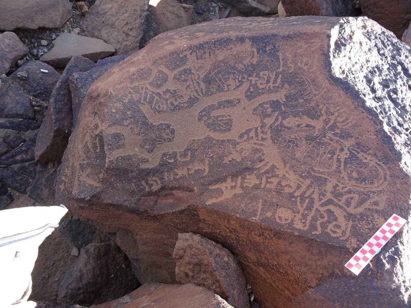 Image of siglum BES20 984
