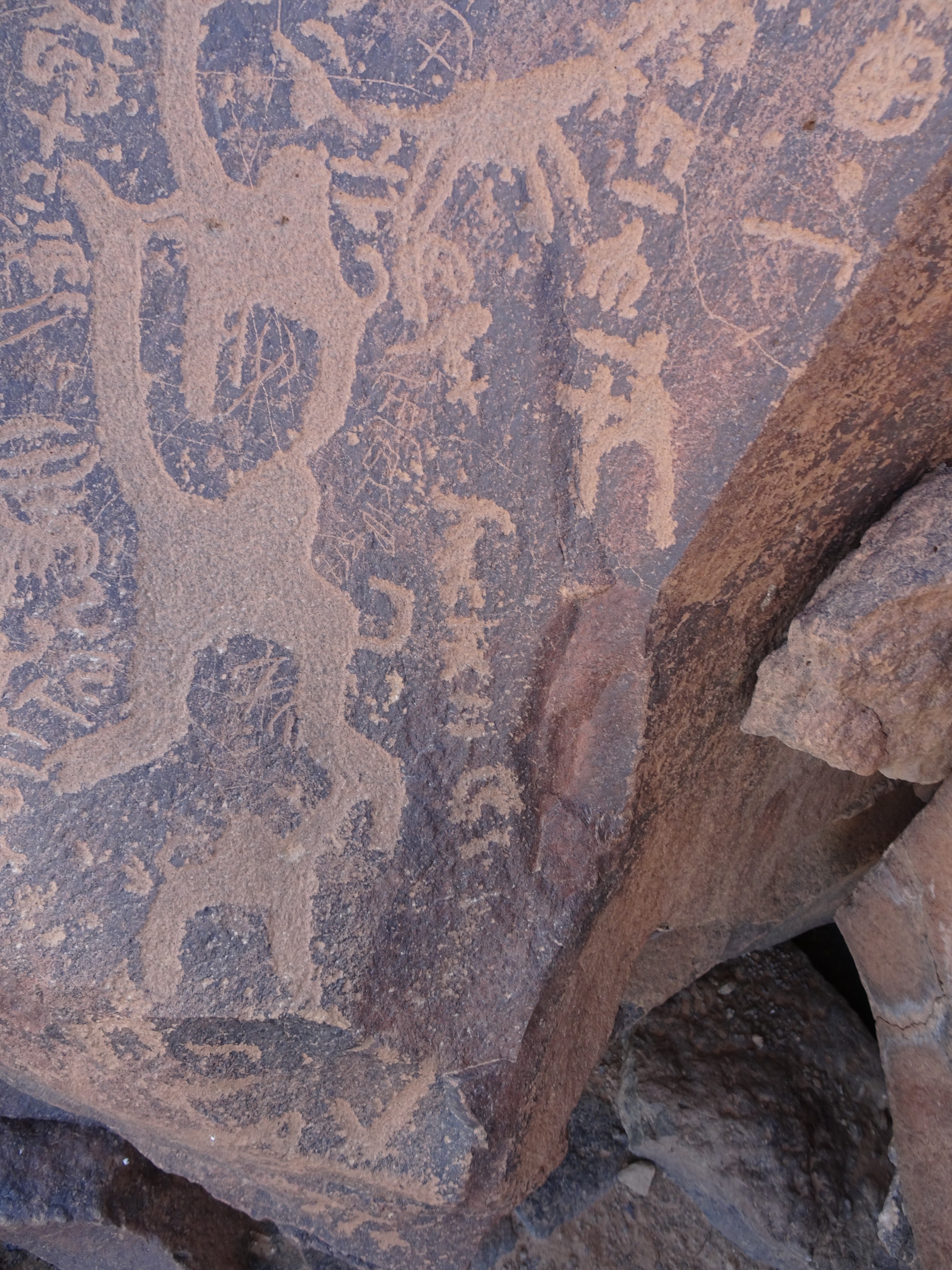 Image of siglum BES20 988