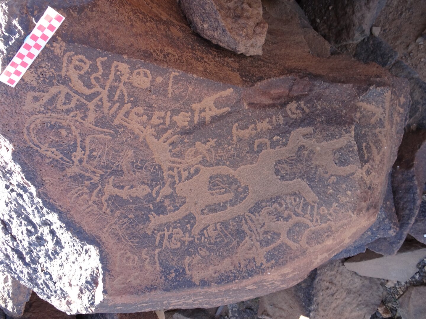 Image of siglum BES20 989