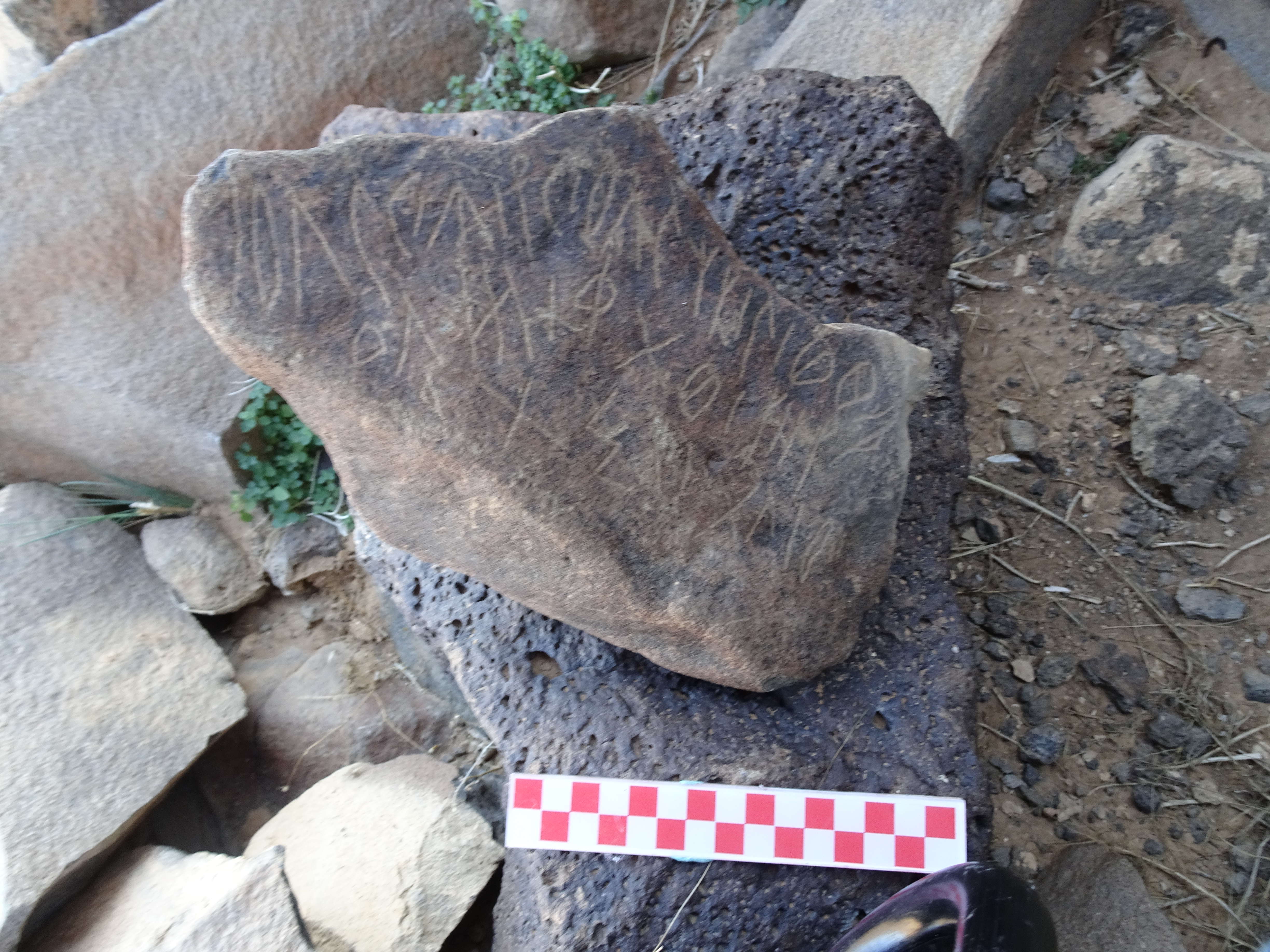 Image of siglum BES20 992
