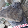 Image of siglum BES20 992