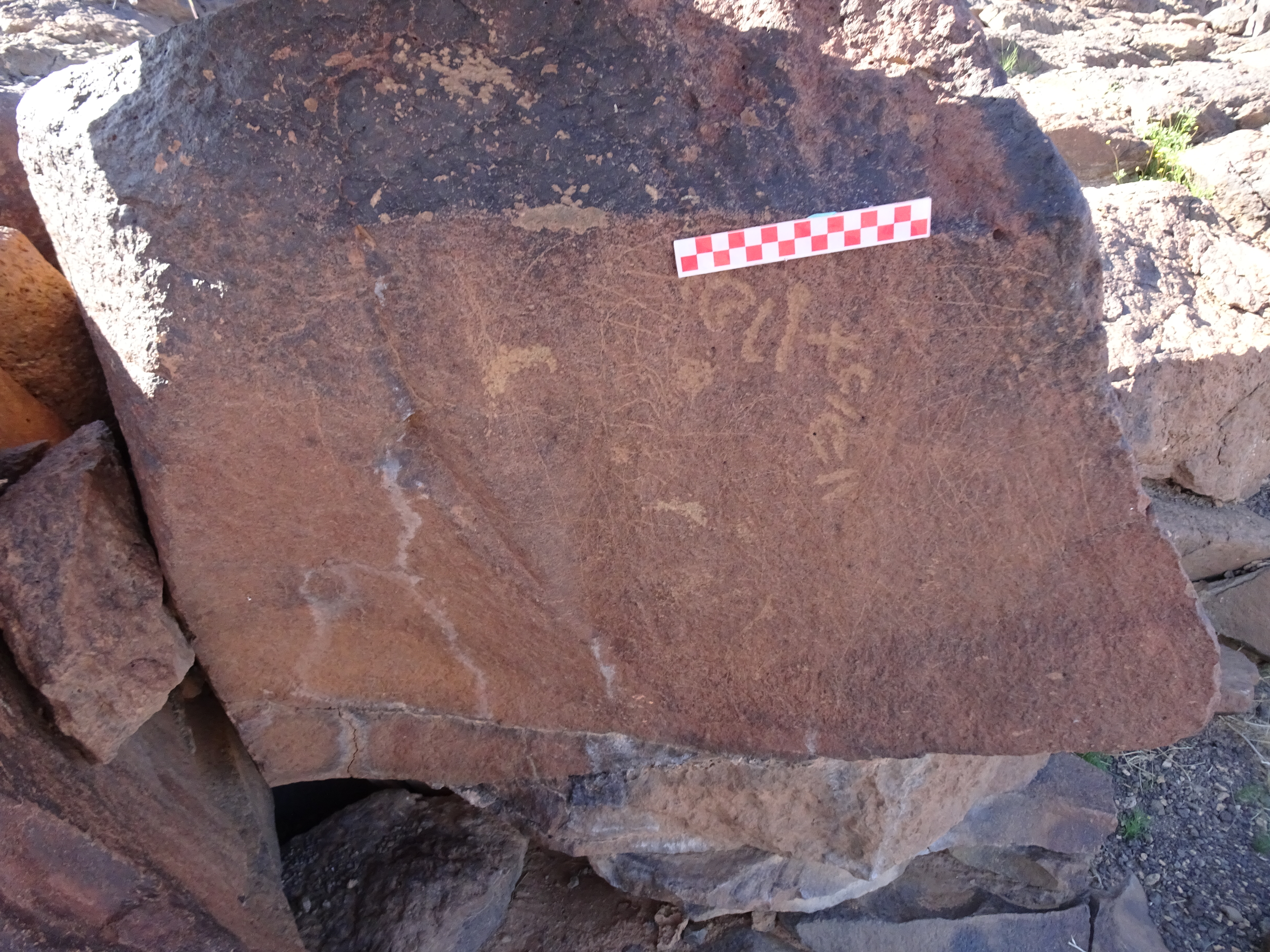 Image of siglum BES20 995