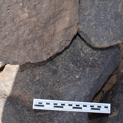 Image of BES24_WKh11 10