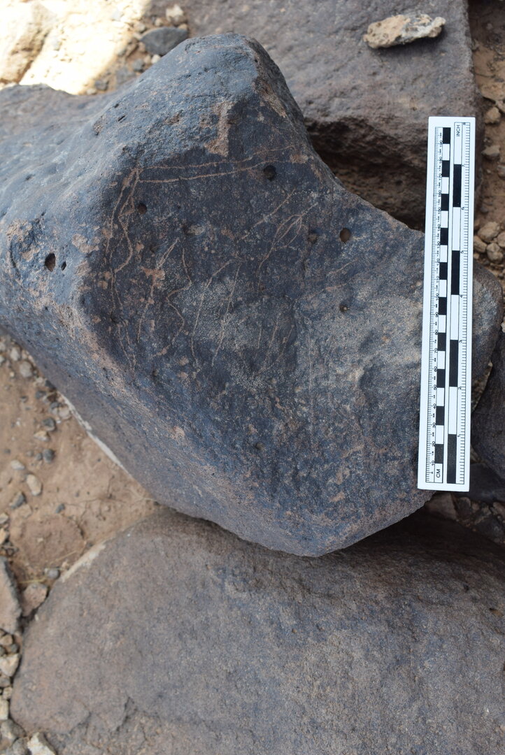 Image of BES24_WKh11 11