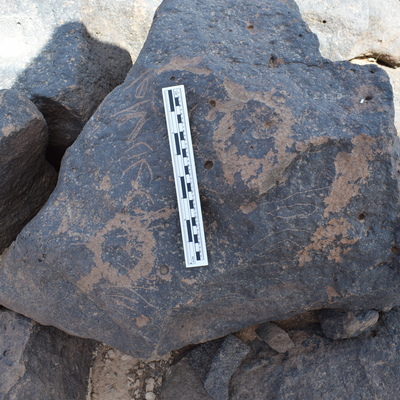 Image of BES24_WKh11 12