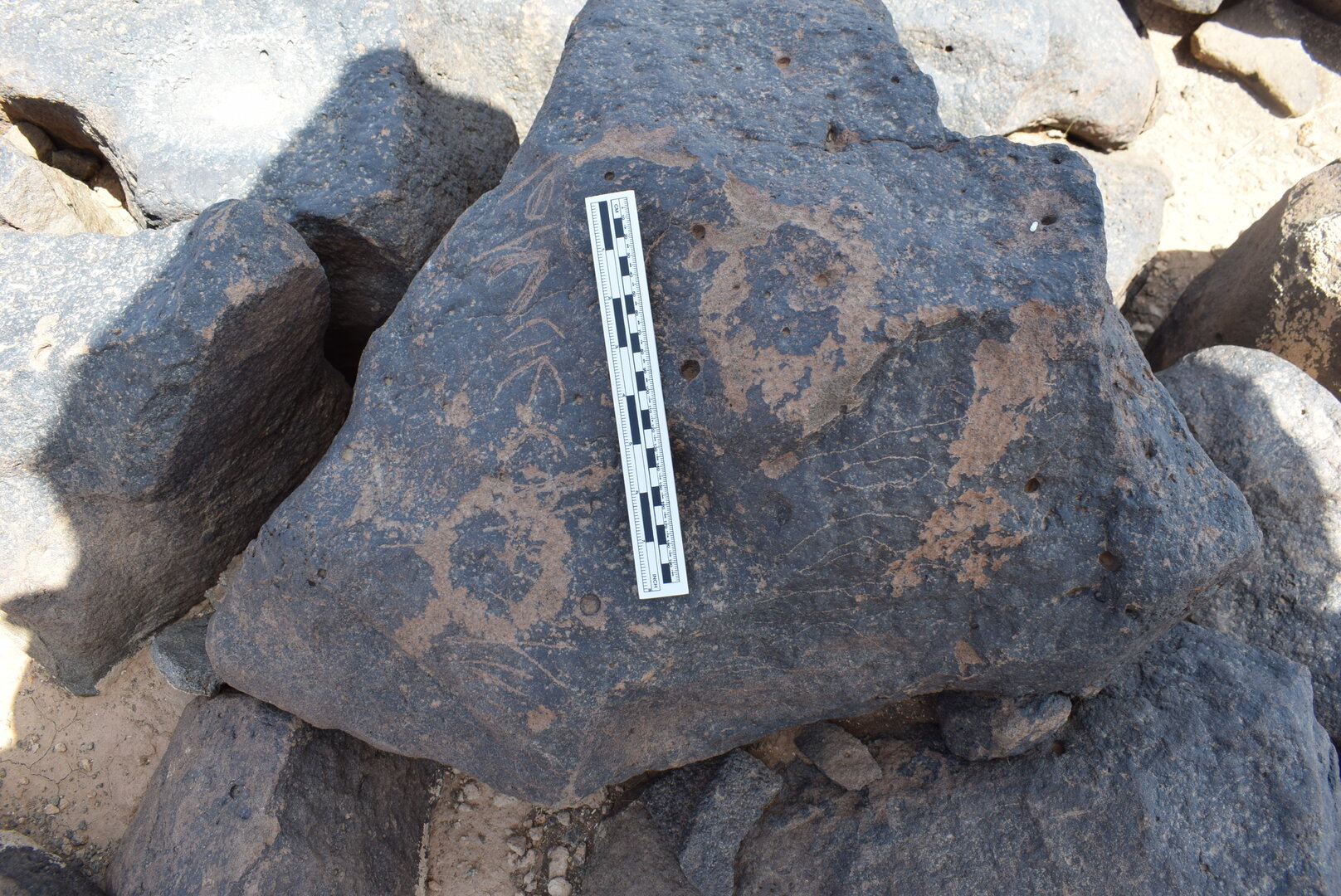 Image of BES24_WKh11 13