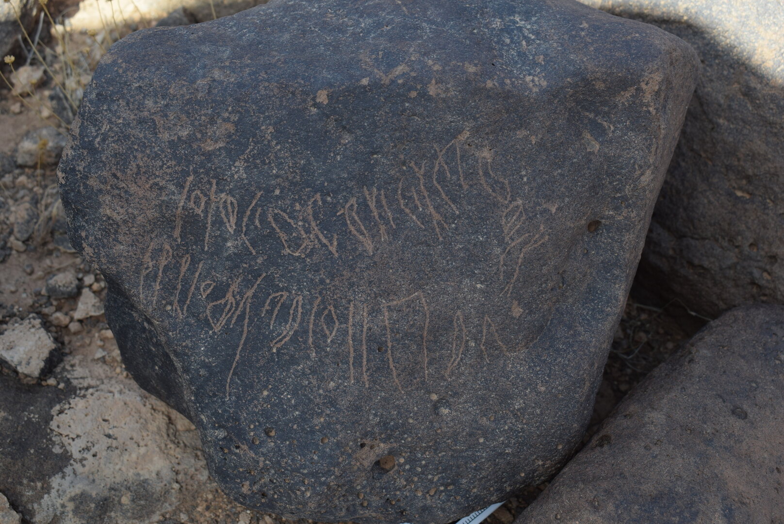 Image of BES24_WKh11 2