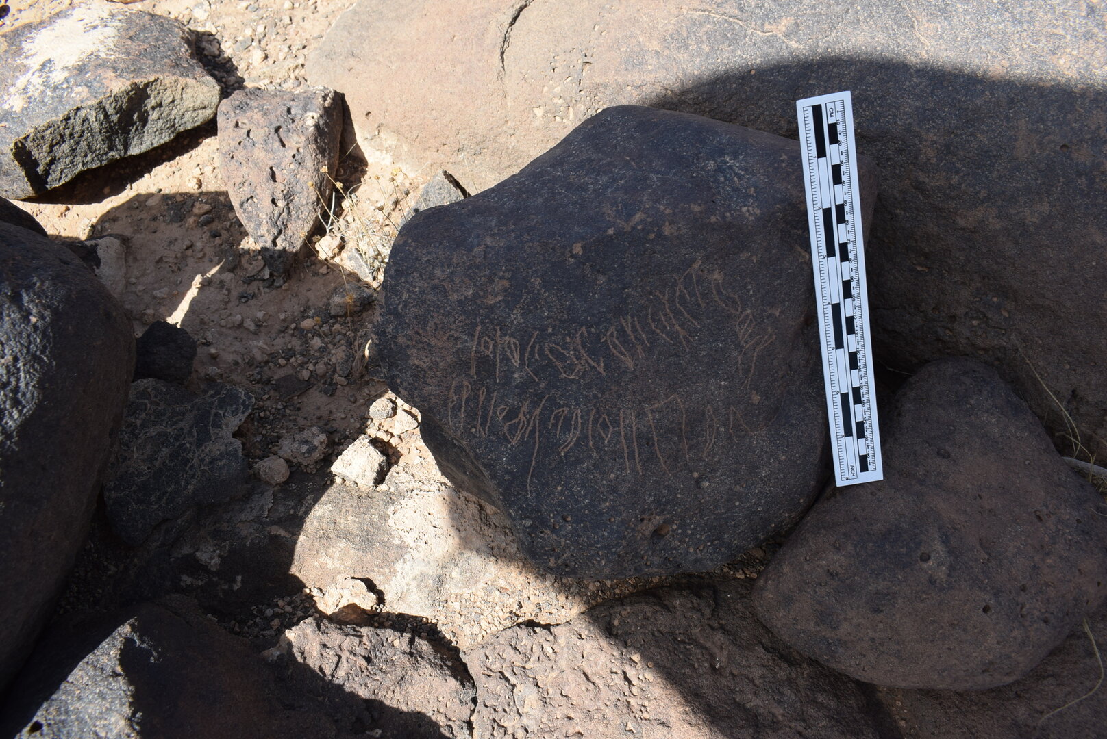 Image of BES24_WKh11 2