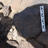 Image of BES24_WKh11 2