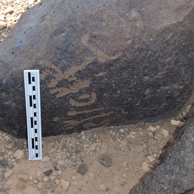 Image of BES24_WKh11 4