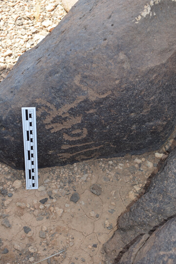 Image of BES24_WKh11 4
