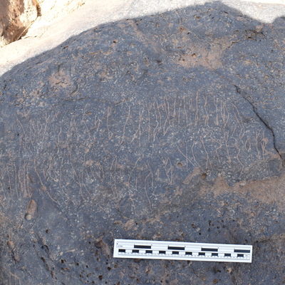 Image of BES24_WKh11 5