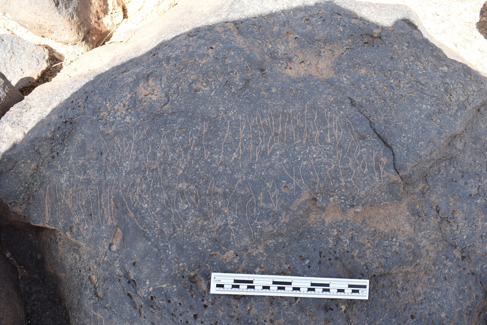 Image of BES24_WKh11 5