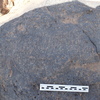 Image of BES24_WKh11 5