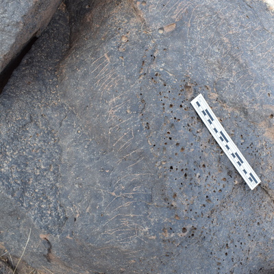 Image of BES24_WKh11 6