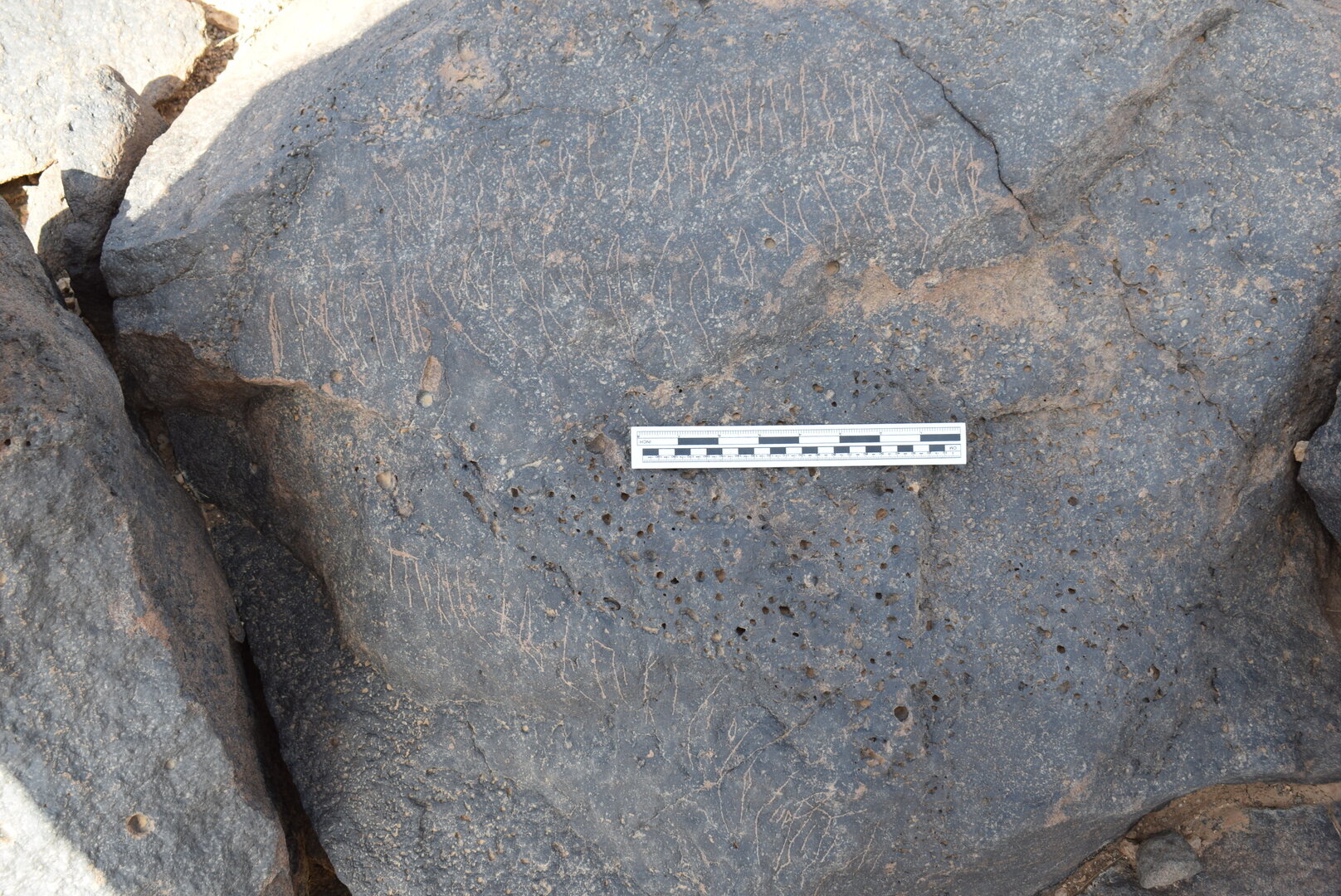 Image of BES24_WKh11 5-6