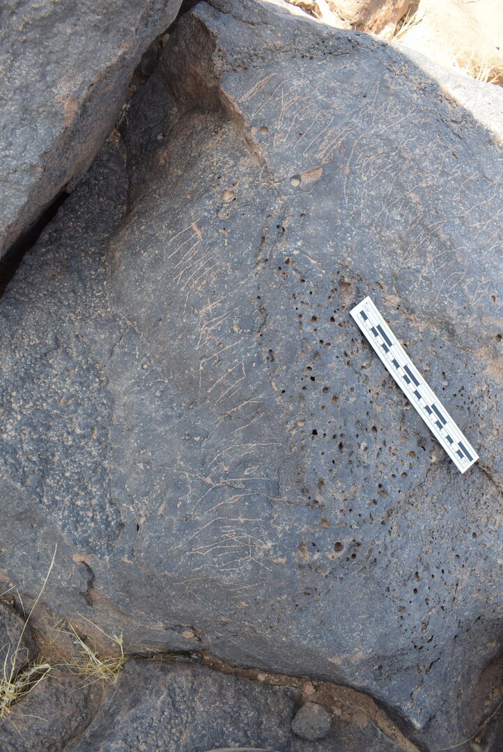 Image of BES24_WKh11 6